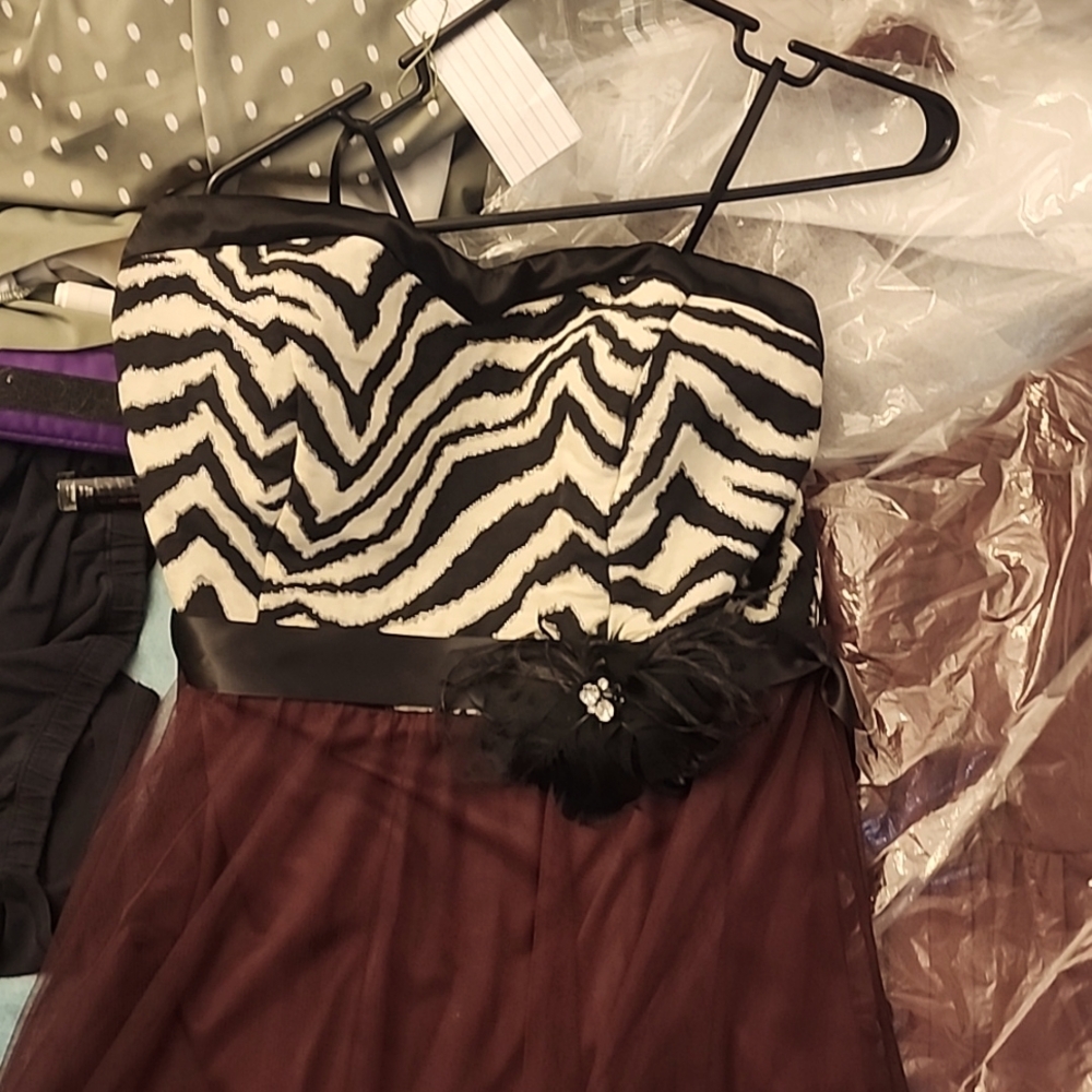 Debs zebra print formal dress